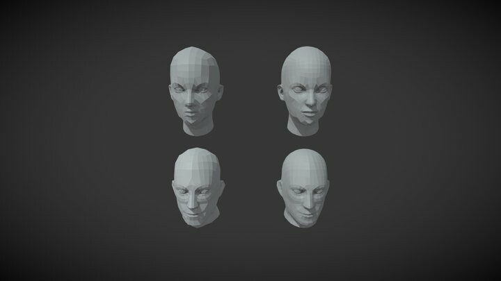 ArtStation - Human Heads Male Female Low-poly 3D Model