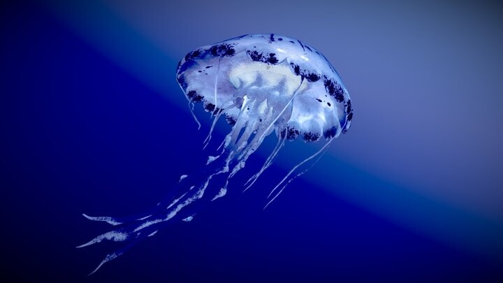 ArtStation - Purple Striped Jellyfish