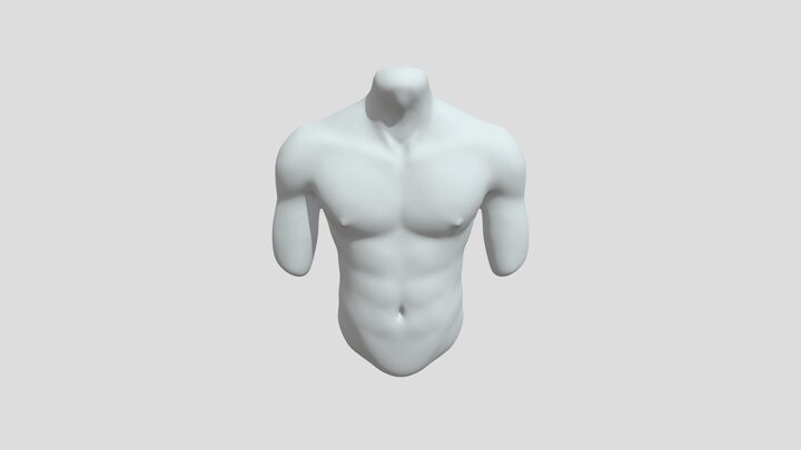 ArtStation - Torso model