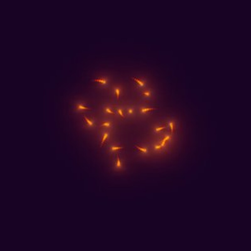 Cosmic Koi