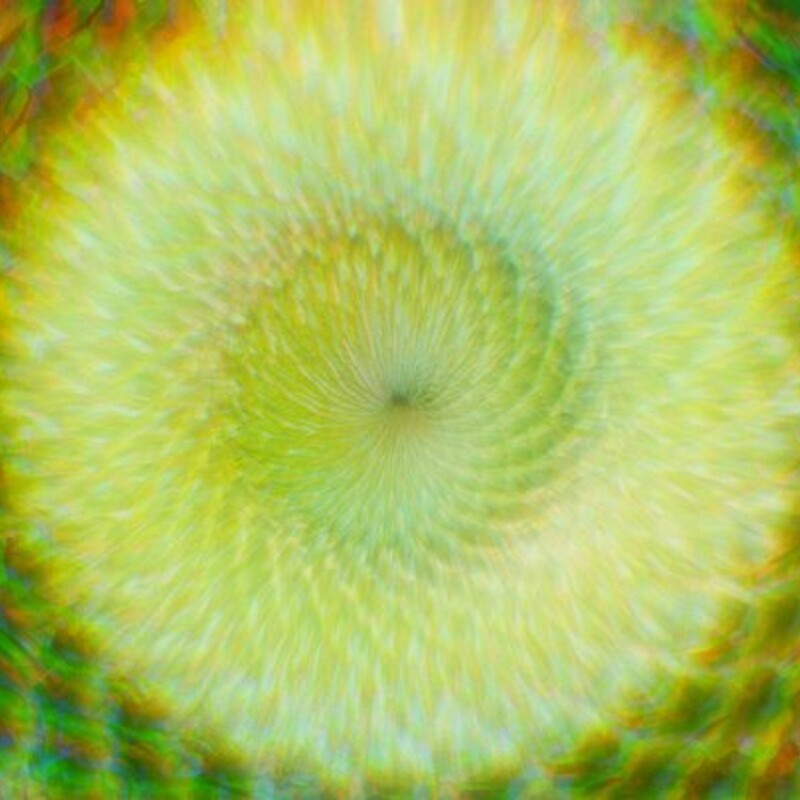 Fibonacci Flux