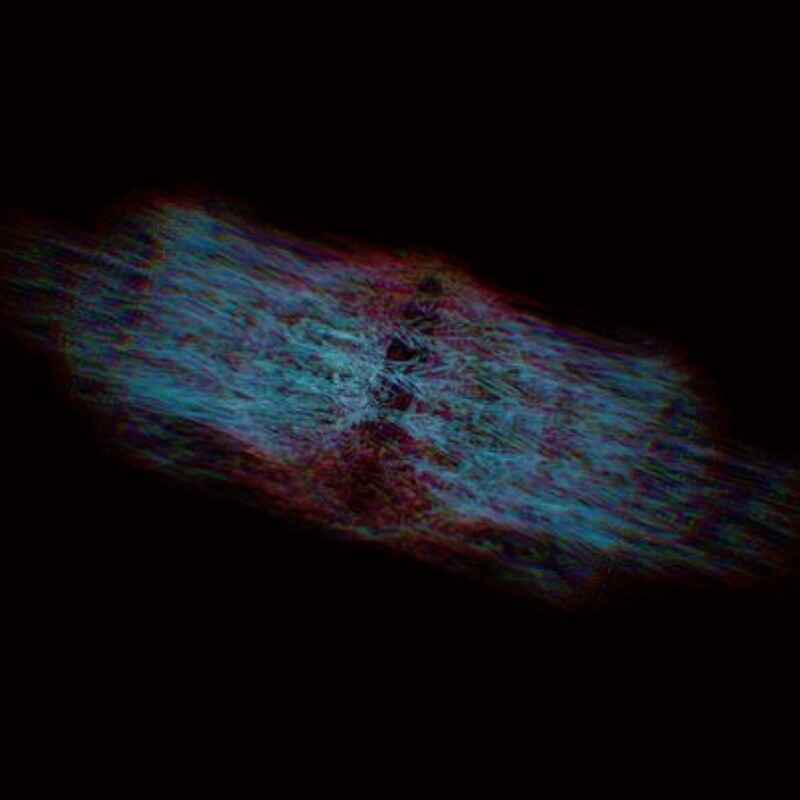 Entangled Matter
