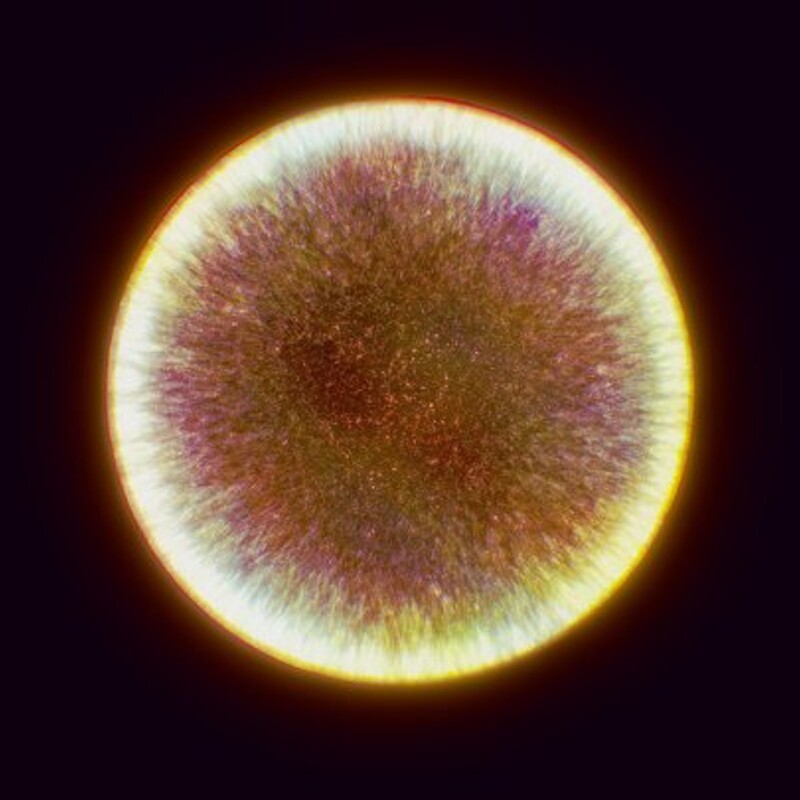 Chaos Orb