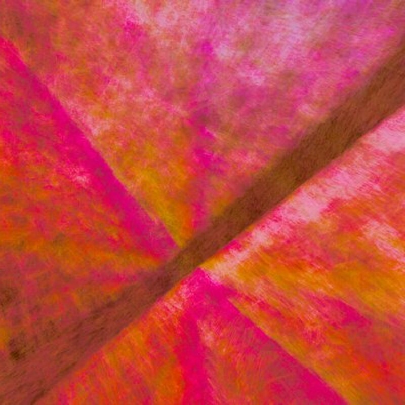 Psychedelic Oscillations