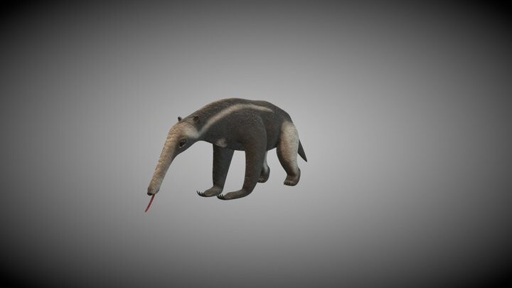 ArtStation - Oso Hormiguero