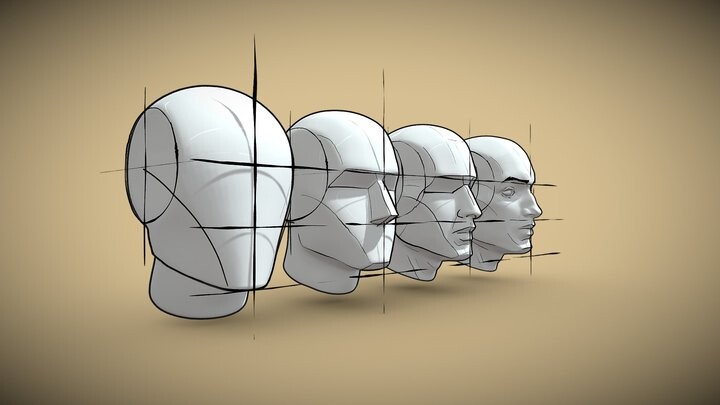 ArtStation - Planes Of The Head - Andrew Loomis Method