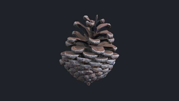 ArtStation - Pinecone free model