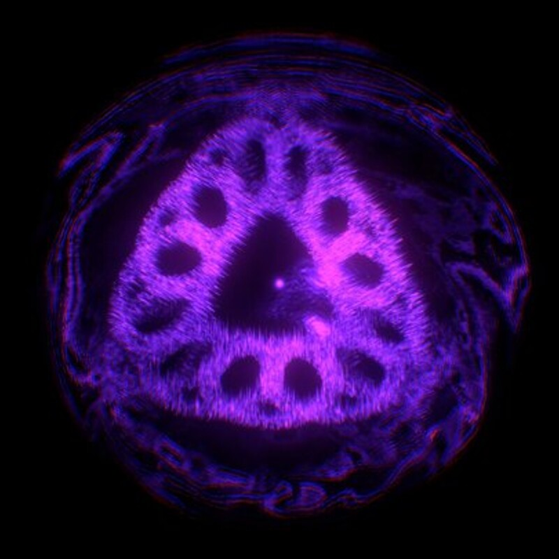 Phantom Rings