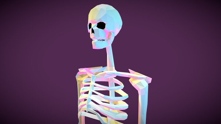 ArtStation - Stylized Human Skeleton Rig