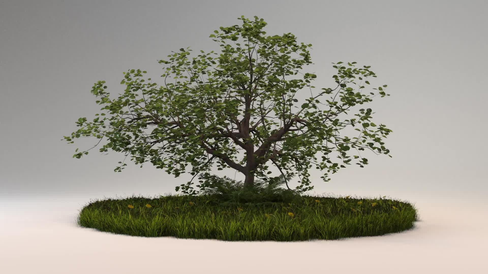 ArtStation - Apple Tree