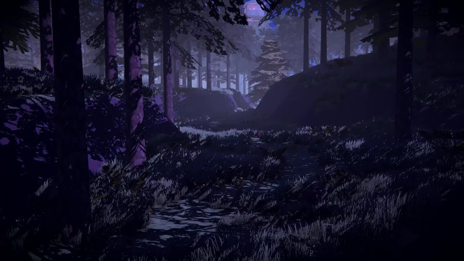 Forest