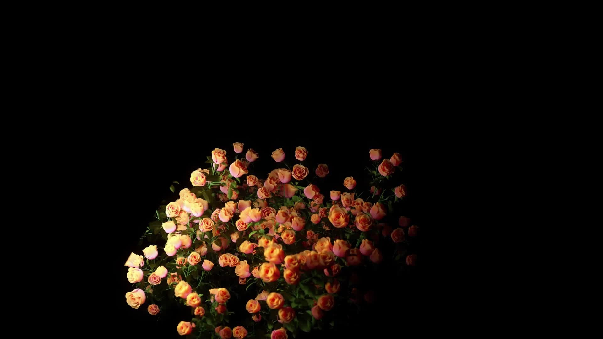 ArtStation Graves Into Gardens