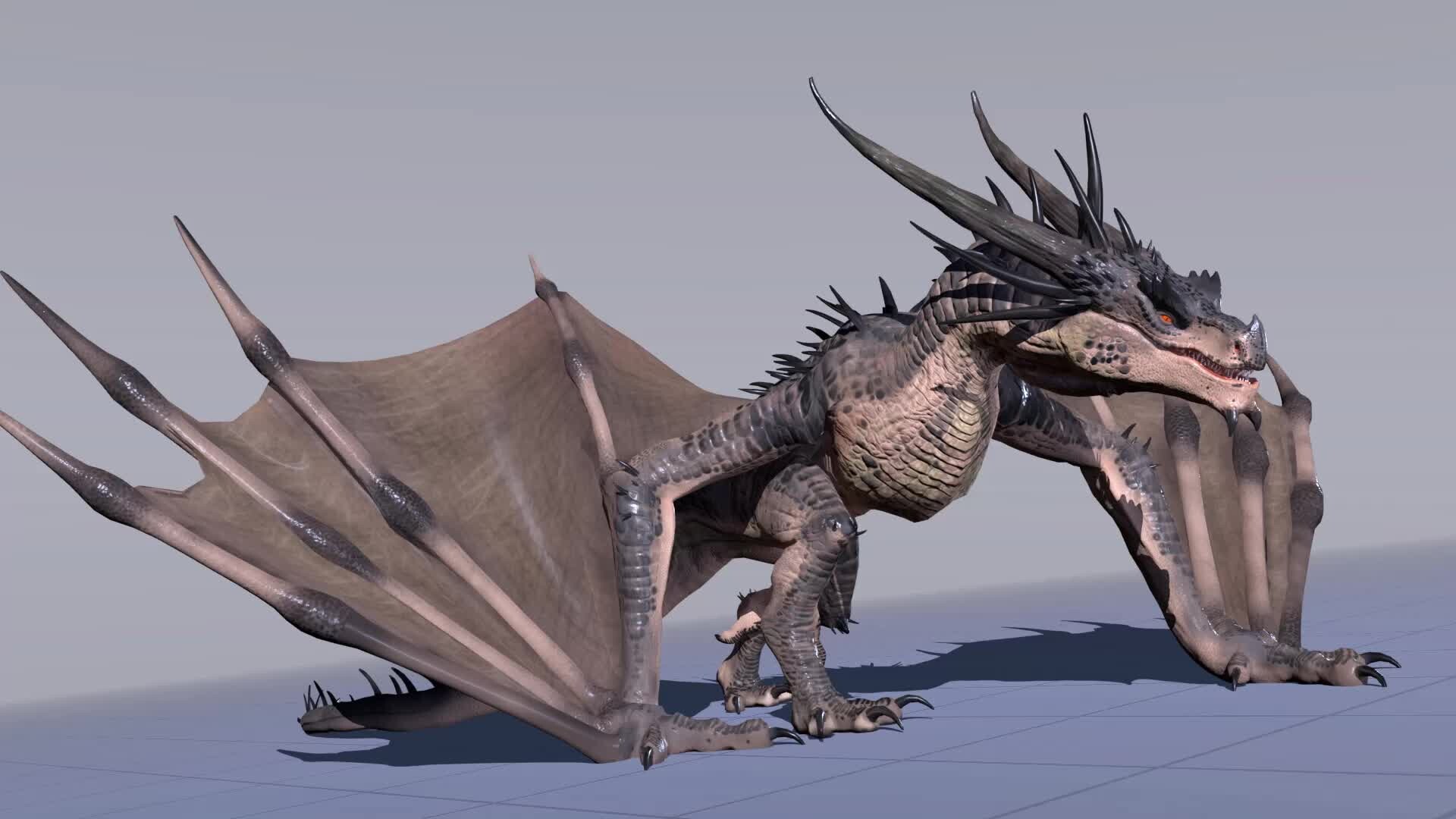 Artstation Wyvern Animation