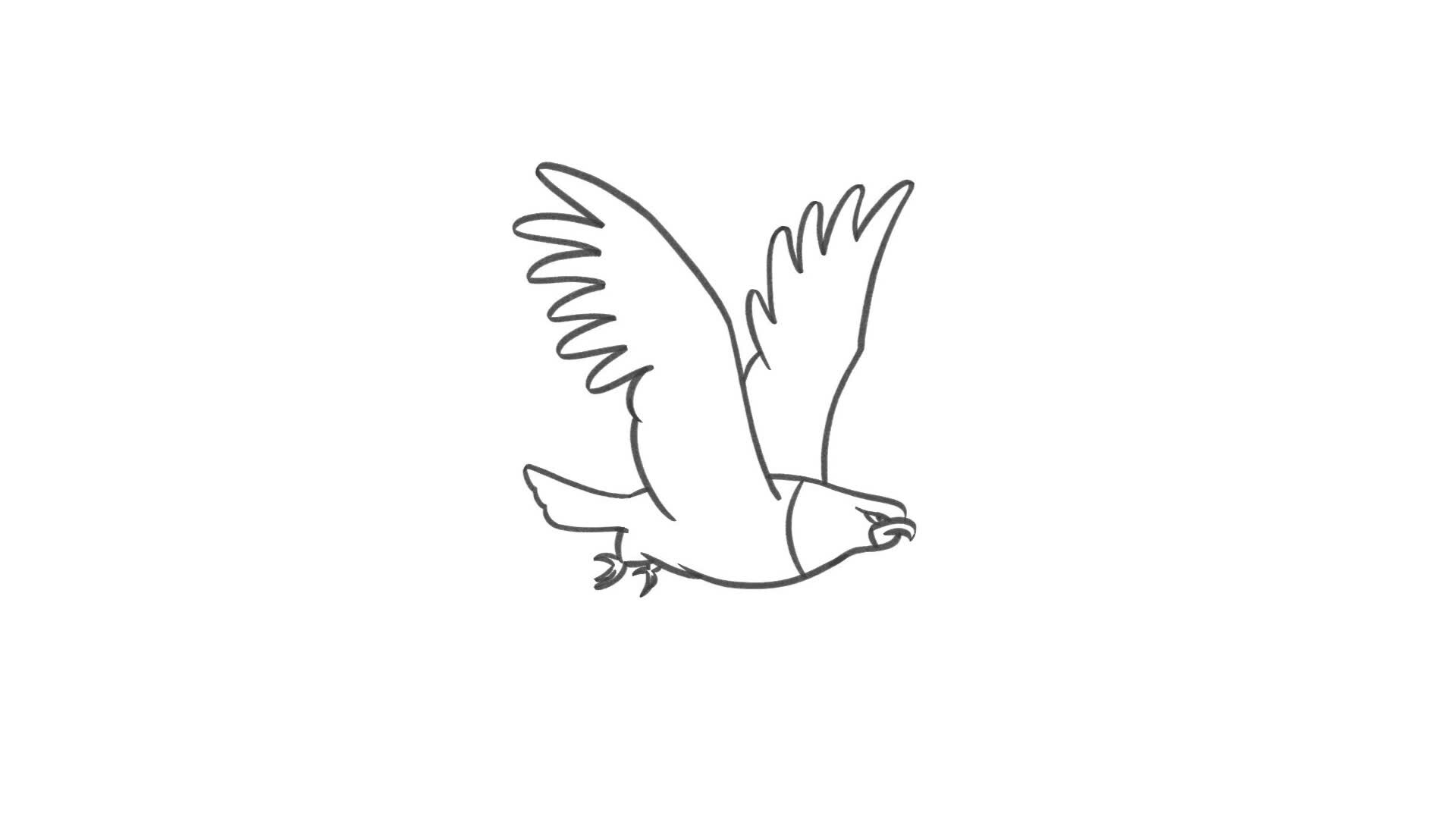 ArtStation - Bird Flight 2D Animation