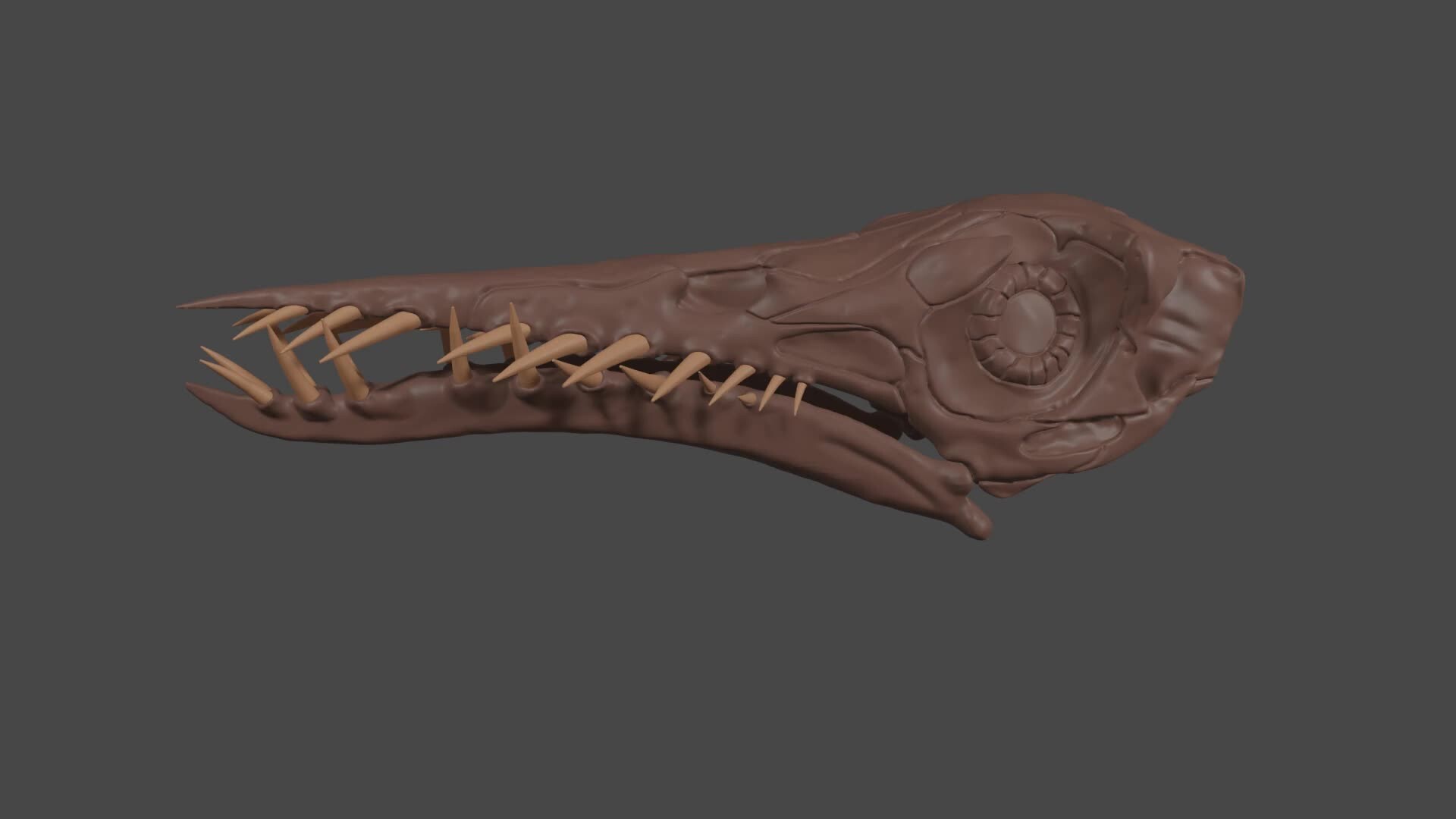 ArtStation - rhamphorhynchus skull