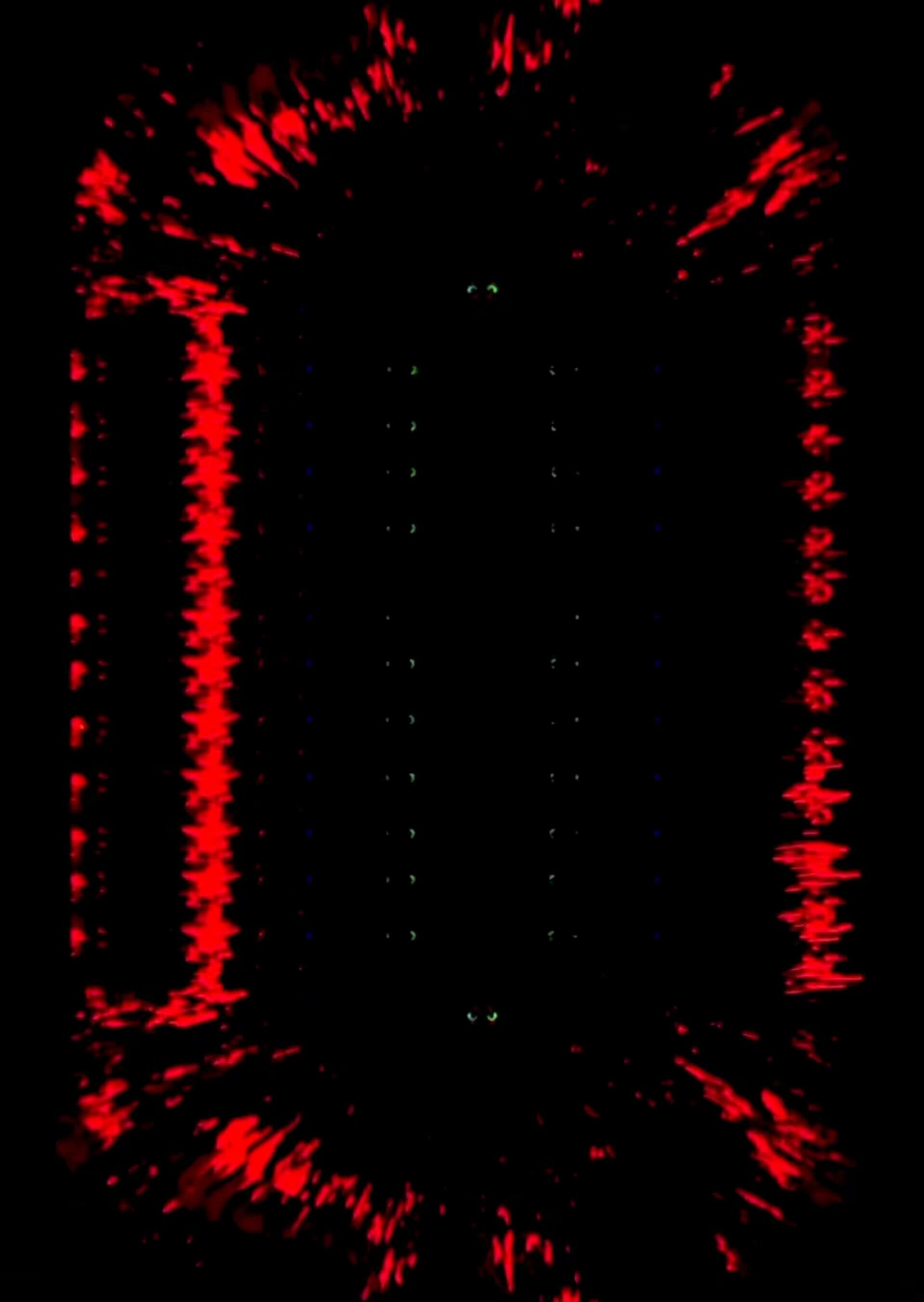 ArtStation License to Portal