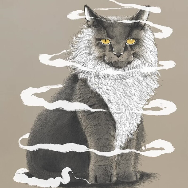 Cat Covered In White Smoke