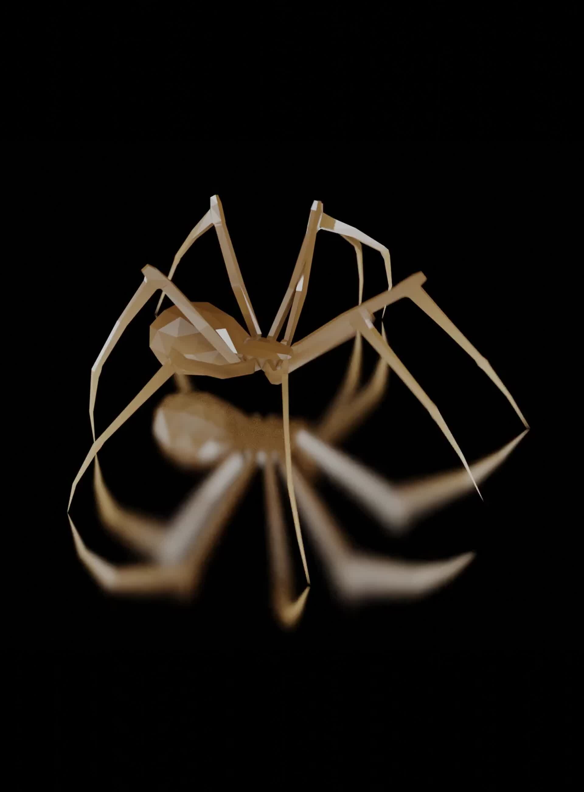 spider animation with alpa download after effects