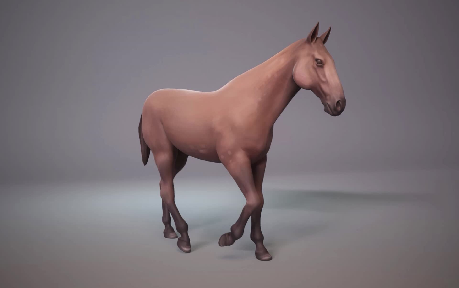 Artstation Horse Walk Animation