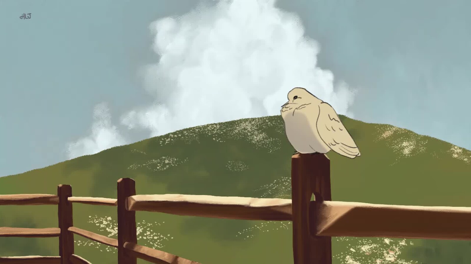 Mourning Bird Study