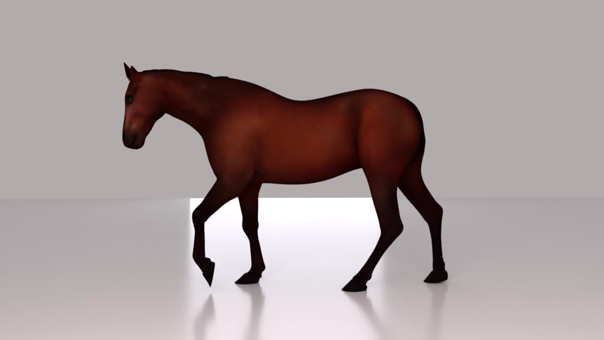ArtStation - Animated Horse