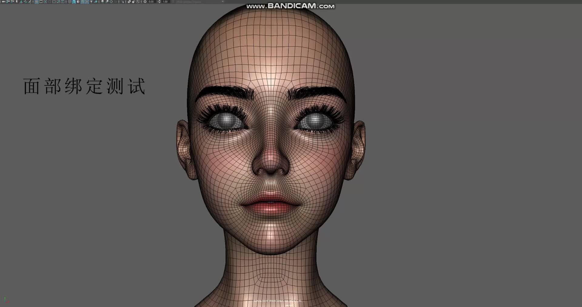 ArtStation - face_rig_test
