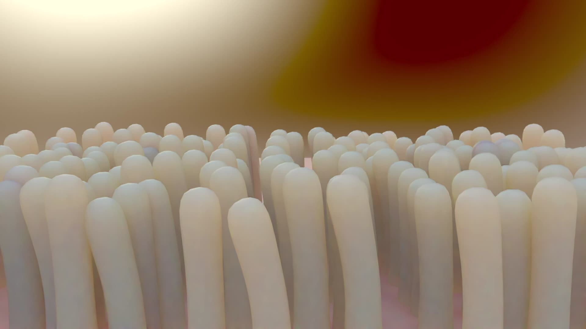ArtStation - Villi Animation