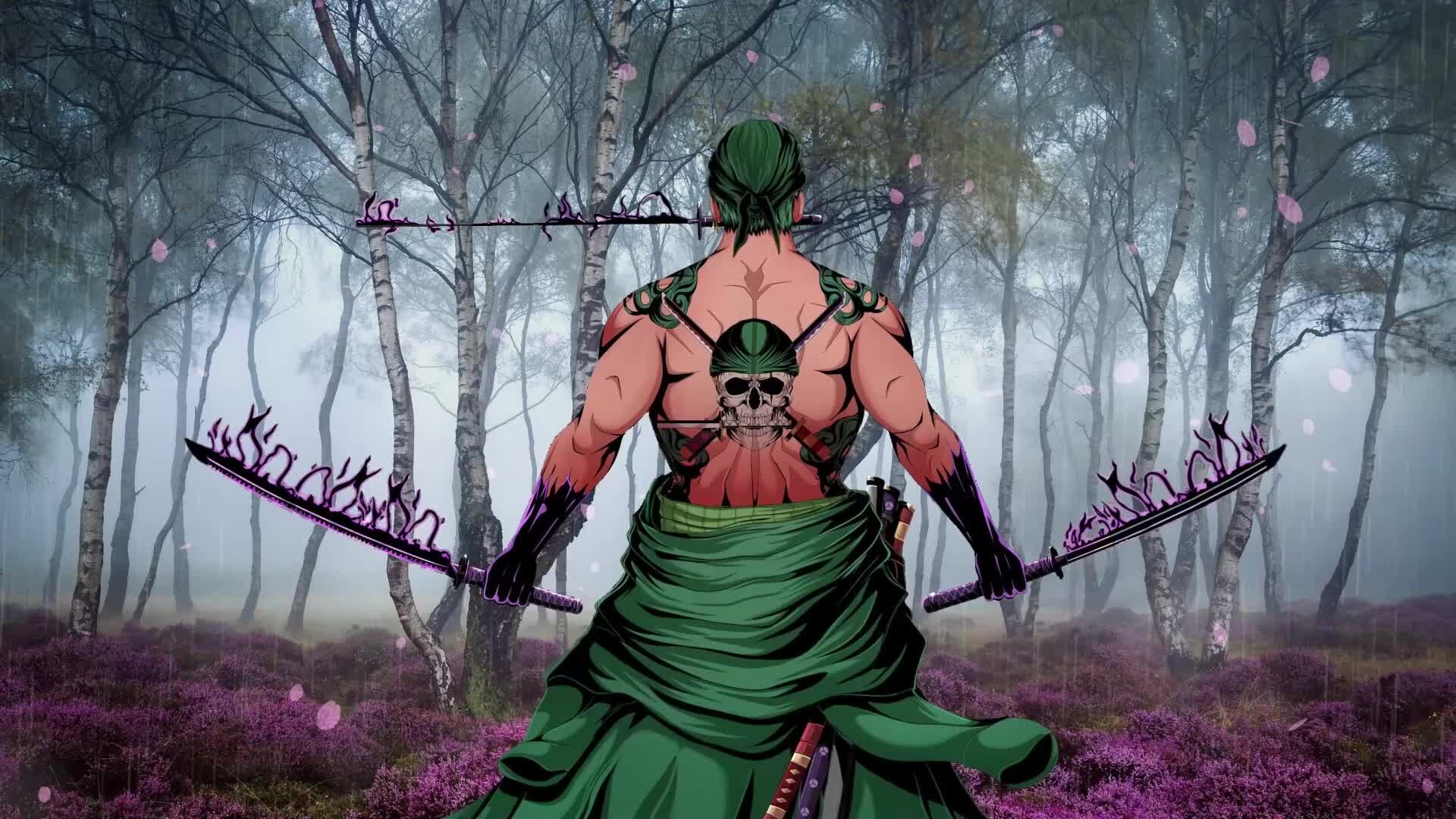 560 Roronoa Zoro HD Wallpapers and Backgrounds