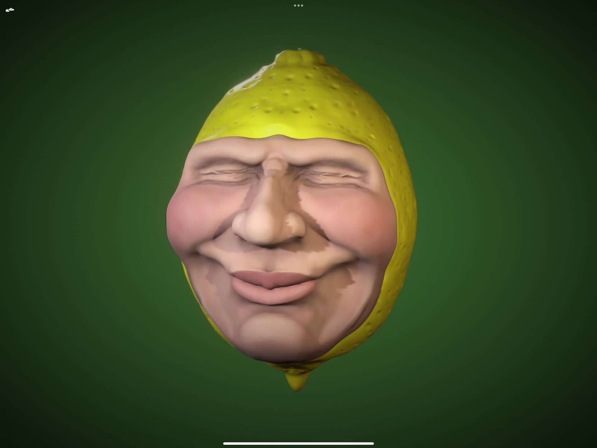 ArtStation - Sour Puss Lemon Face