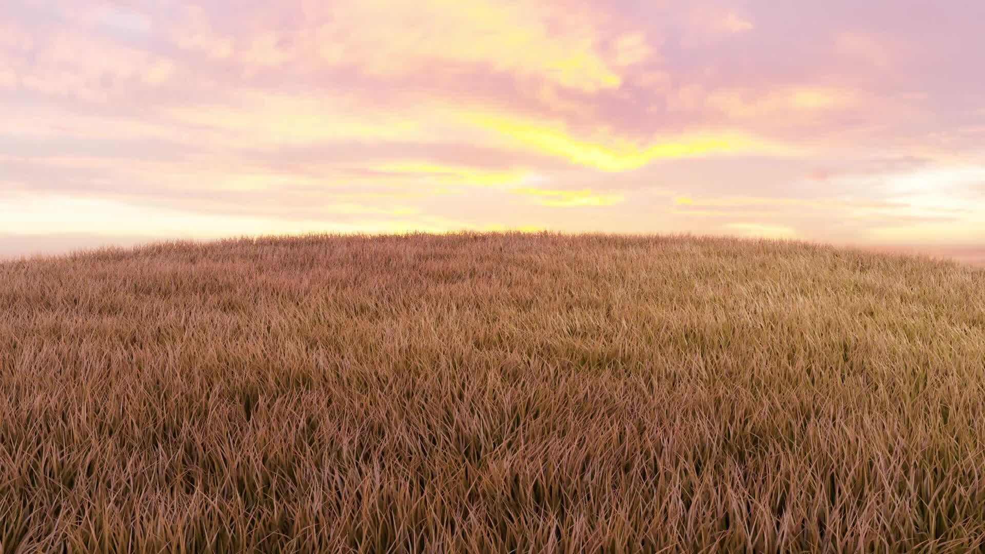 ArtStation Dry Grass Field (Maya XGen Simulation)