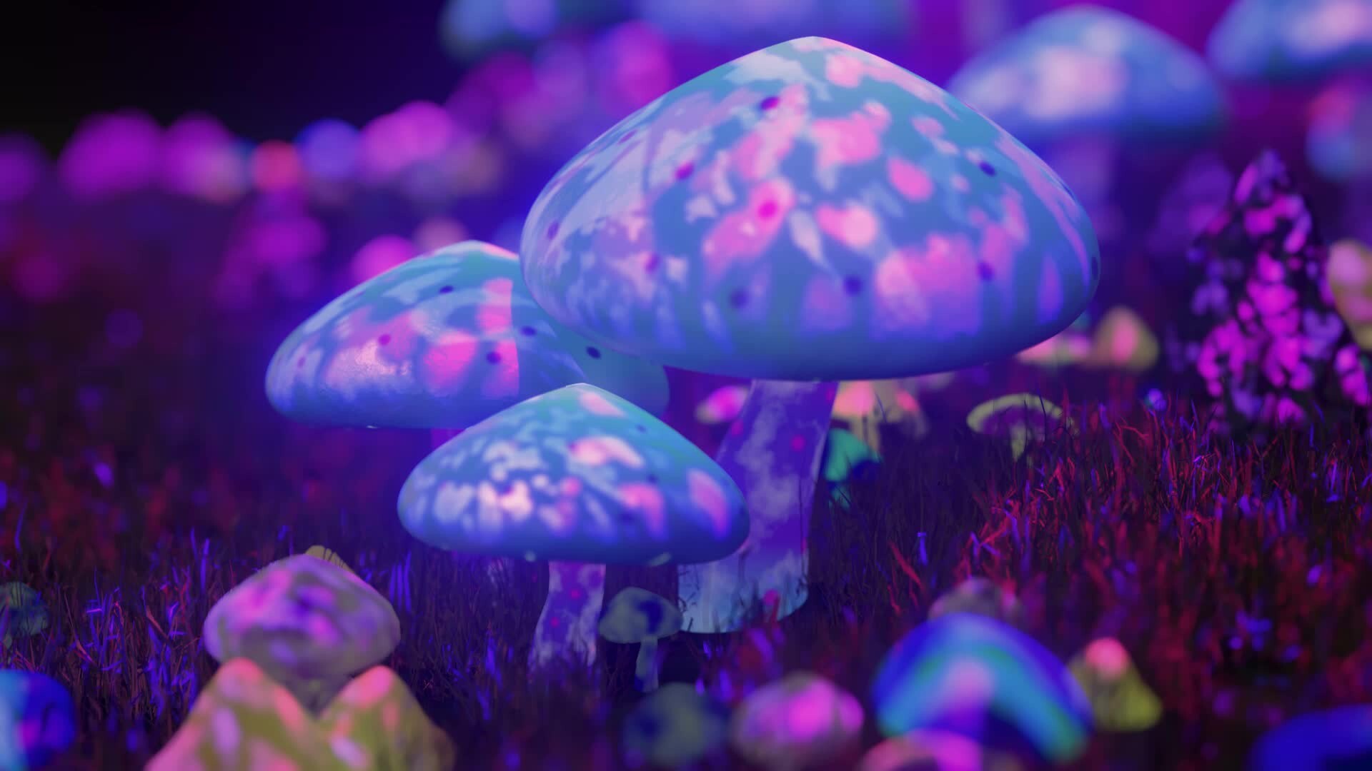 ArtStation - Mushrooms with neon lighting.