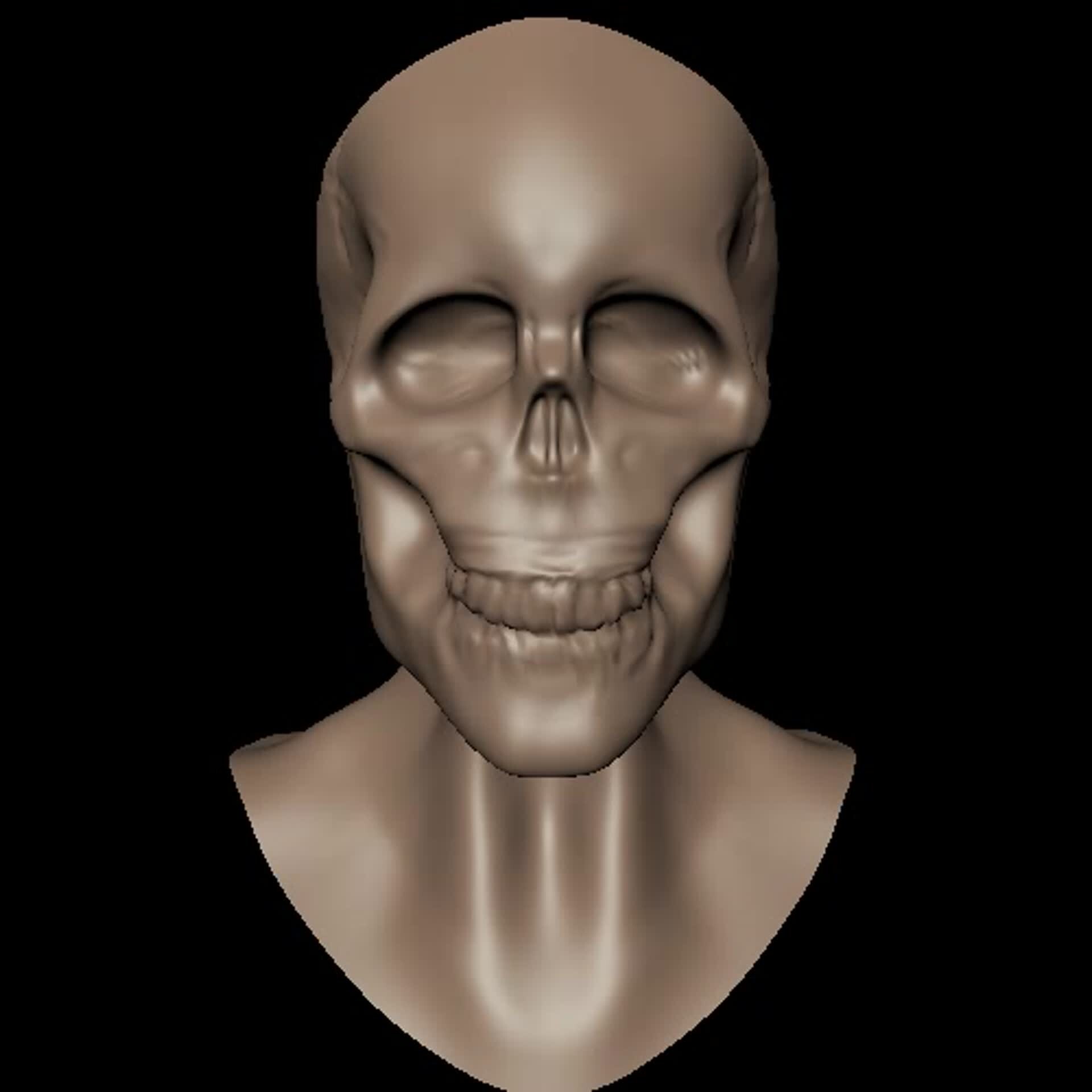 ArtStation - 3D skull model