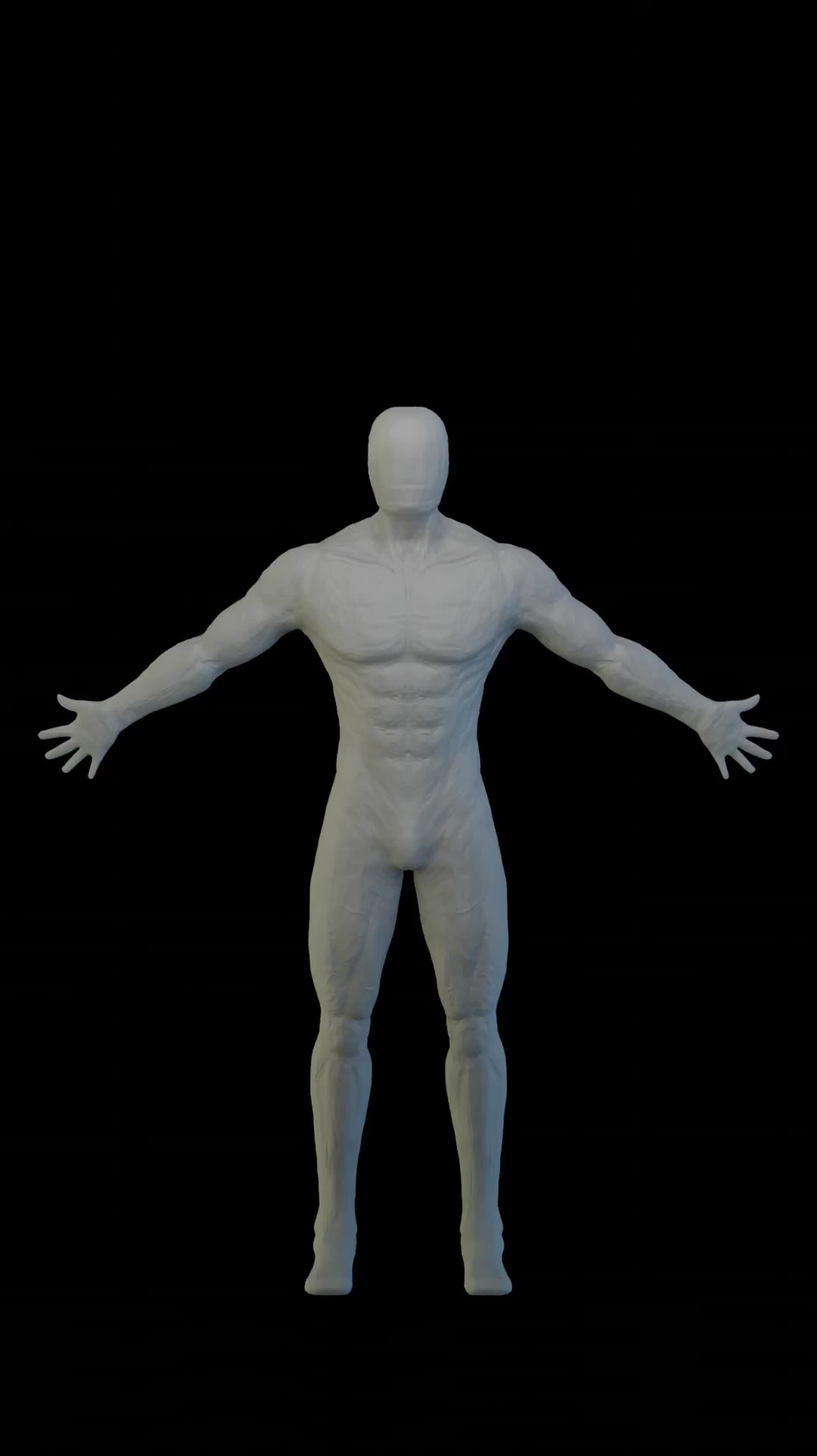 ArtStation - 3d Body