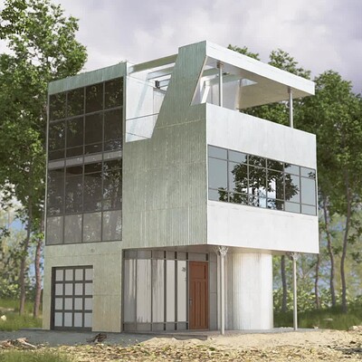 Aluminum House