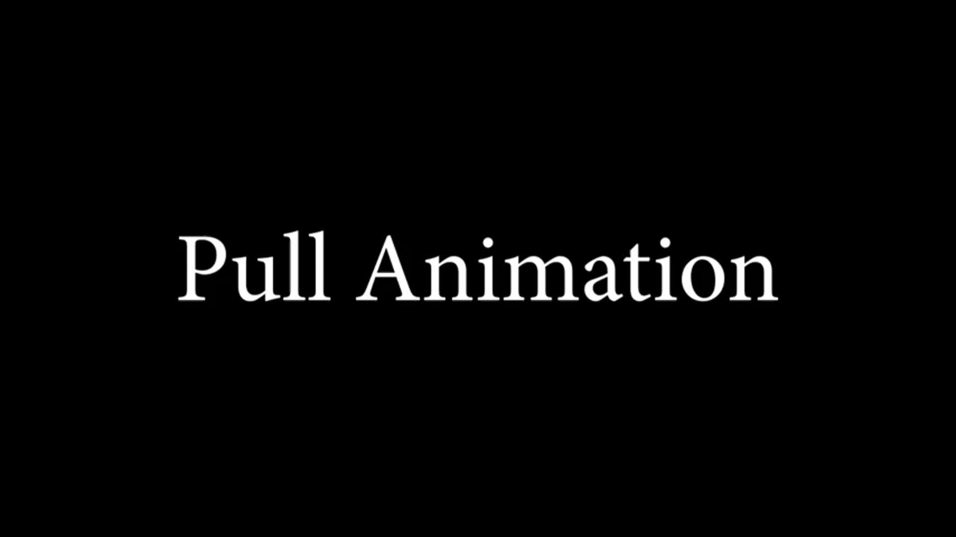 ArtStation - Pull Animation