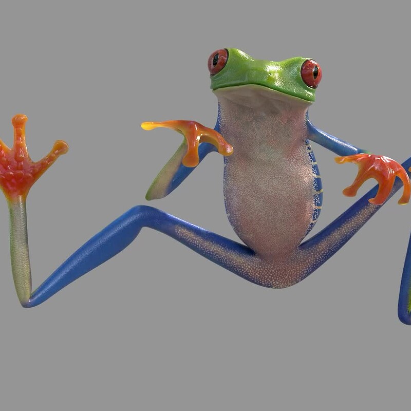 Red Eyed Tree Frog  - WIP