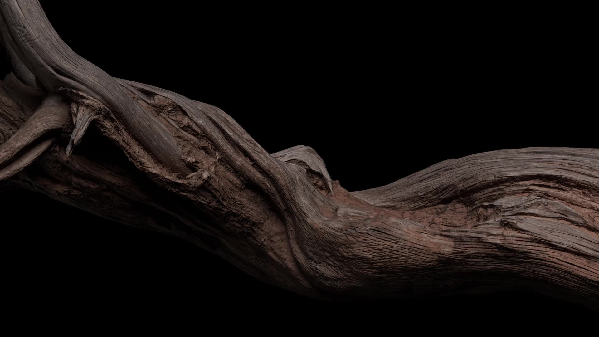 ArtStation - Tree Log Updated