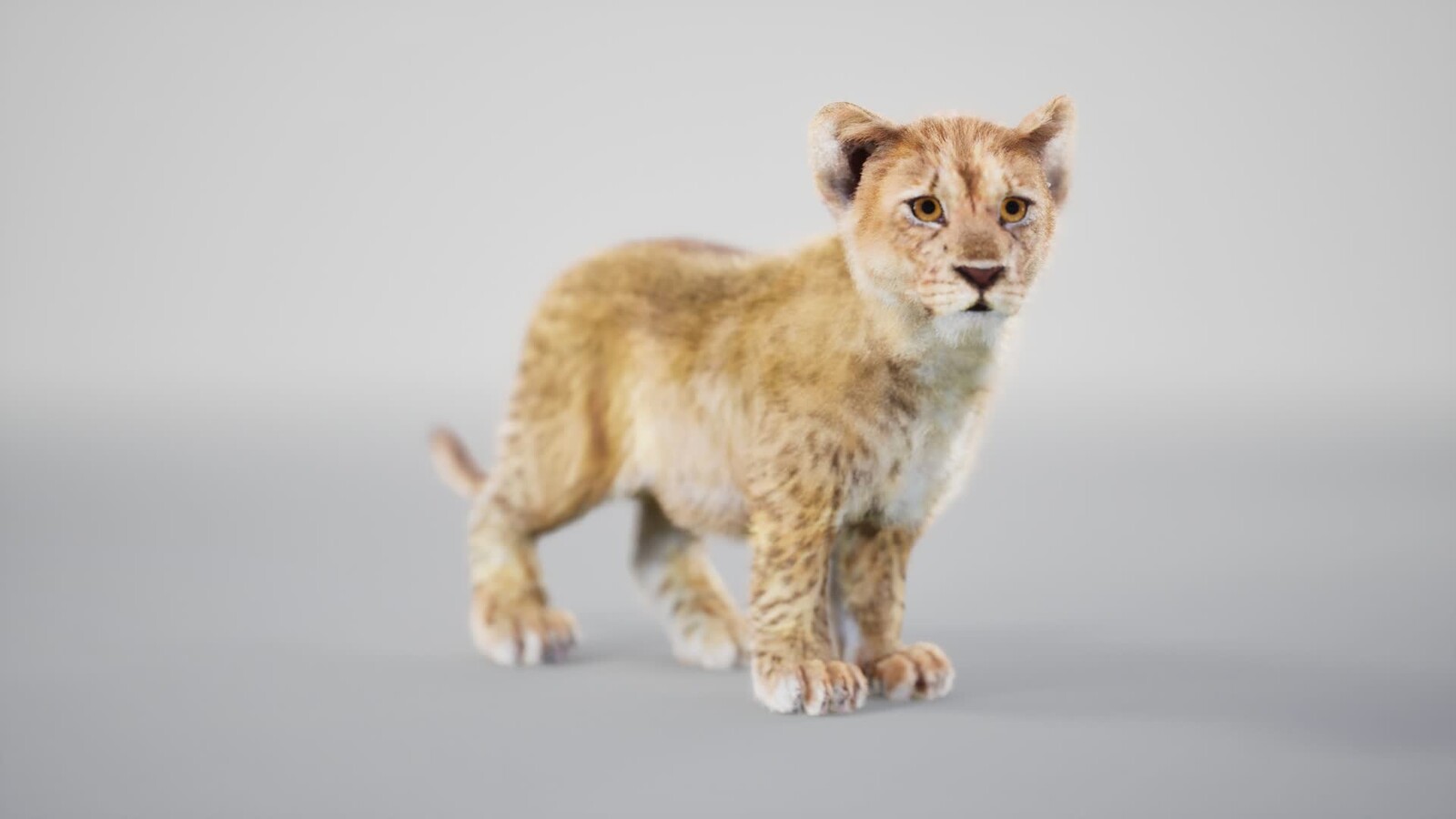 Lion Cub - Unreal Engine