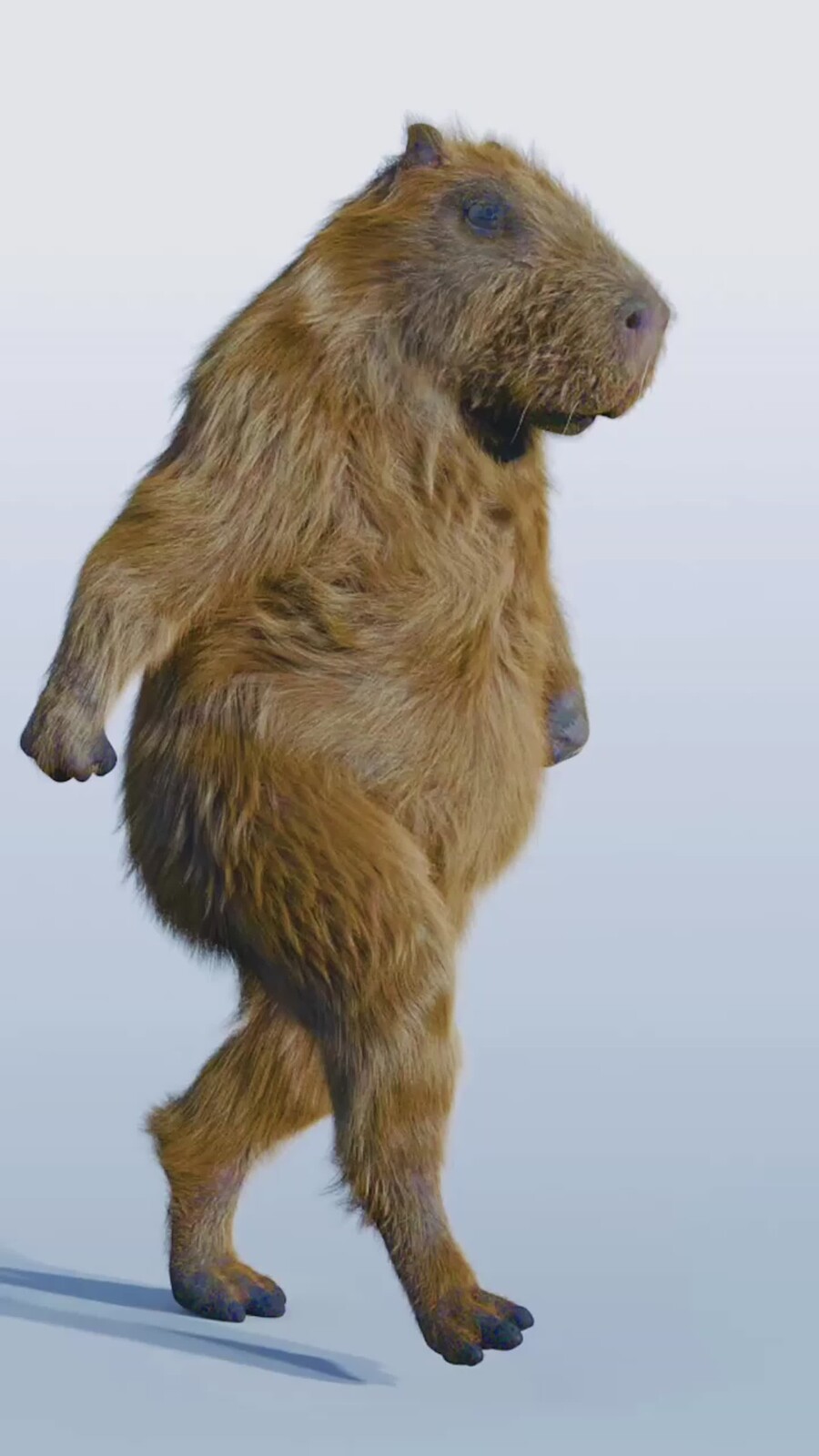 Capybara muscle simulation