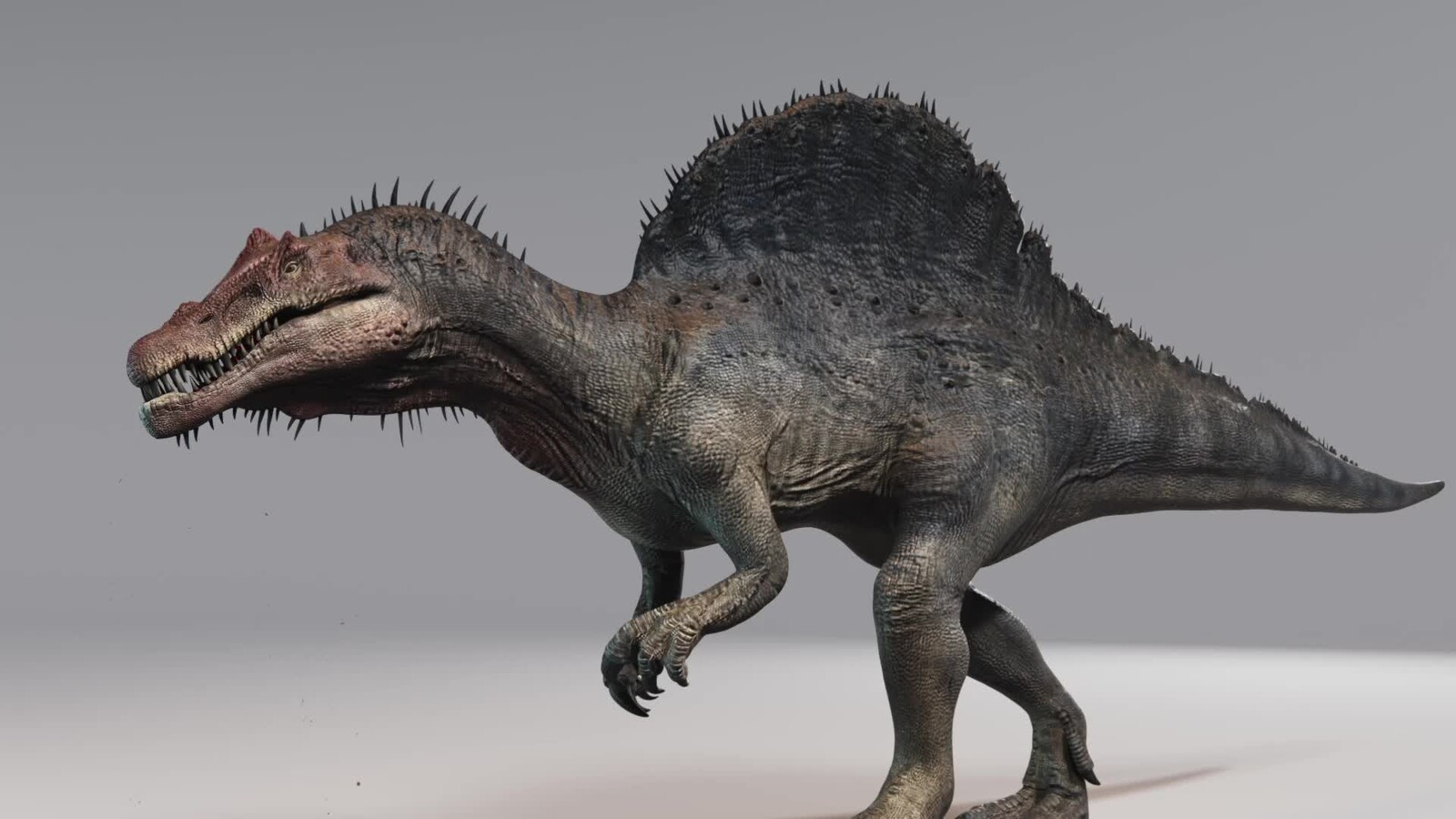 Spinosaurus houdini muscle simulation
