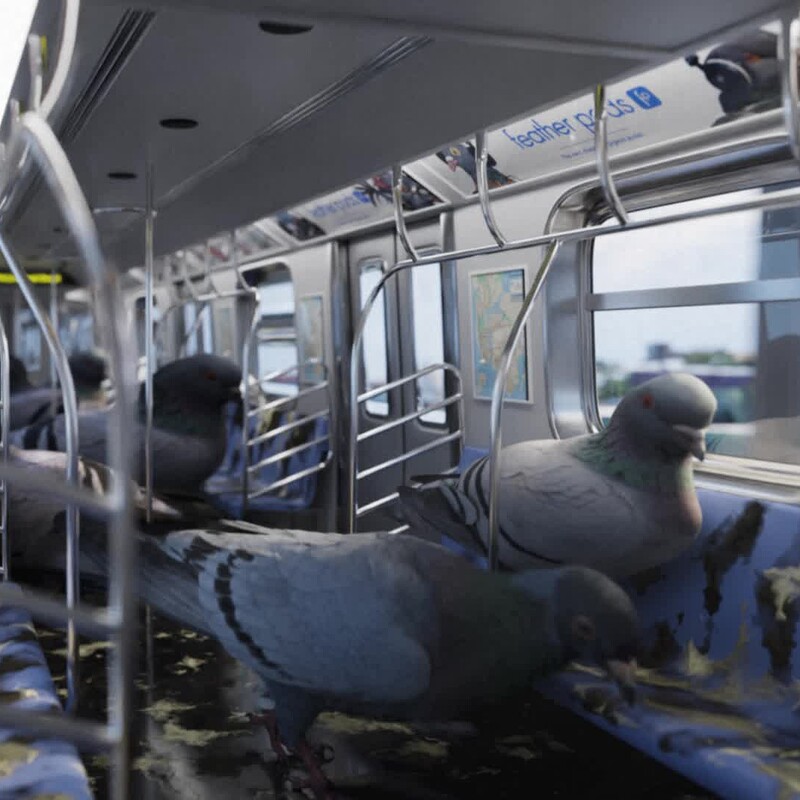 Pigeon Subway Train