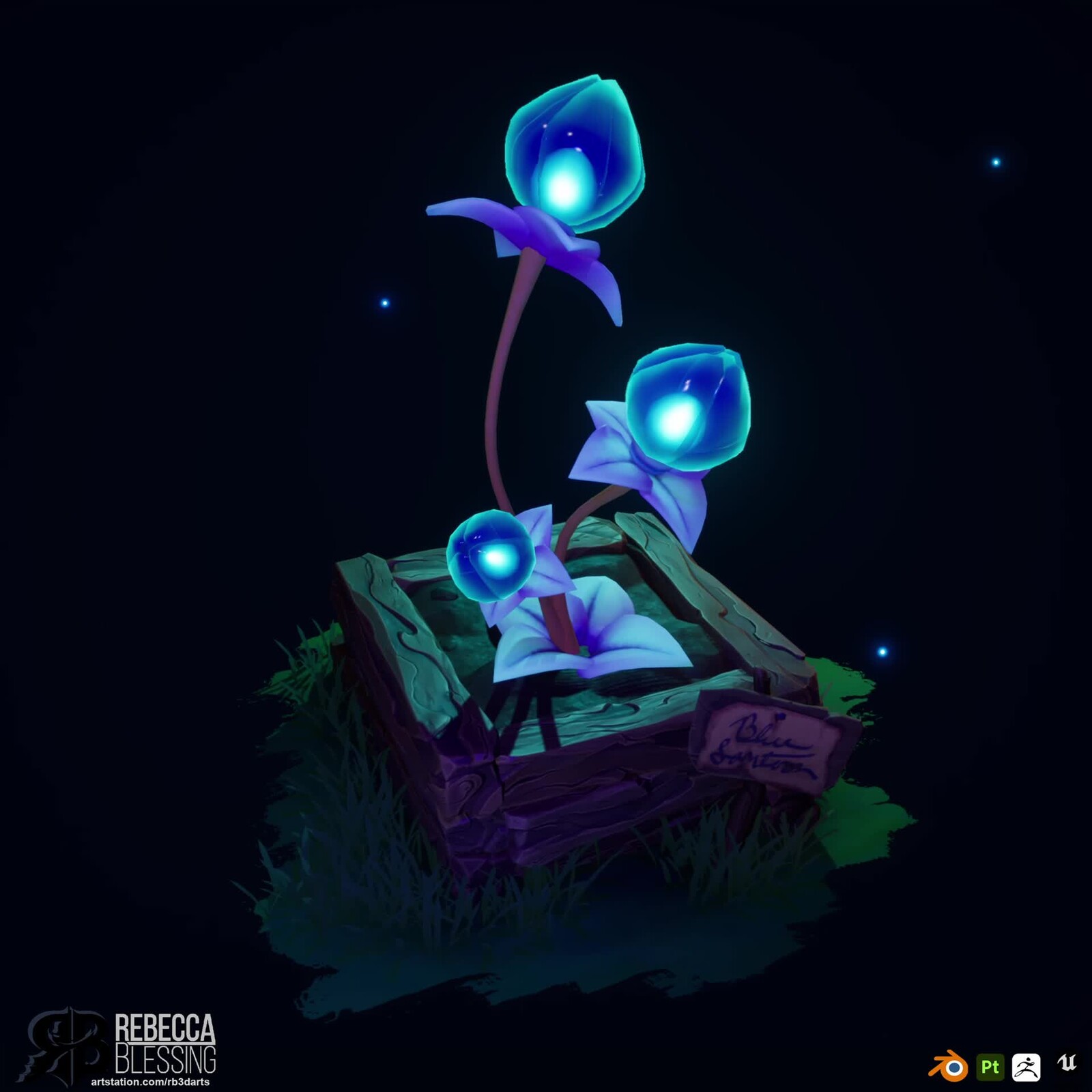 Lantern Flower 