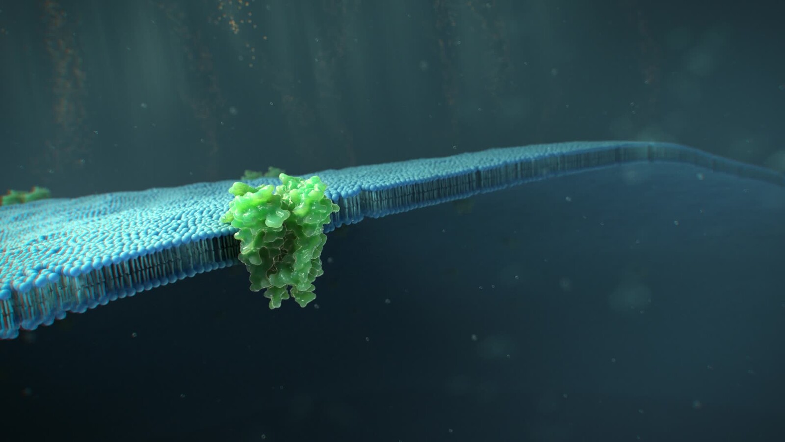 Potassium Ion Channel | Houdini FX