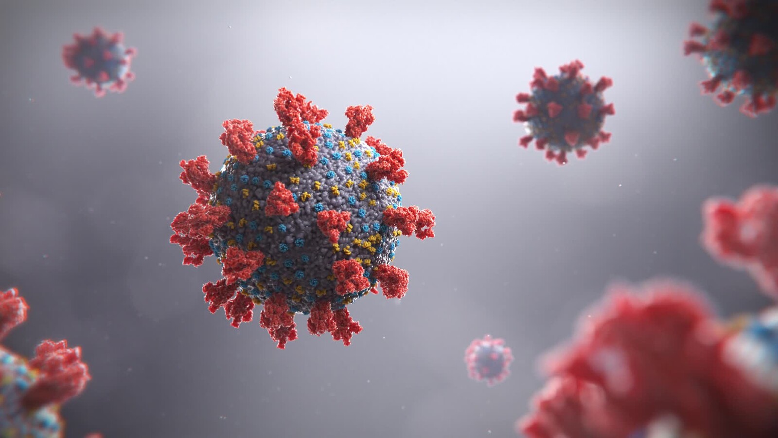 COVID-19 Virus | Medical Animation (Houdini FX)