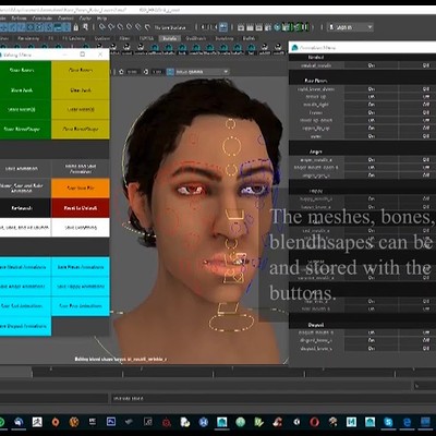 Animation Baking Scripts