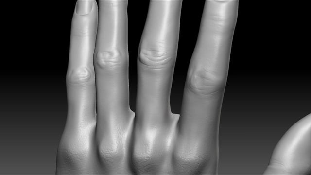 ArtStation - Realistic hand sculpture study in Zbrush