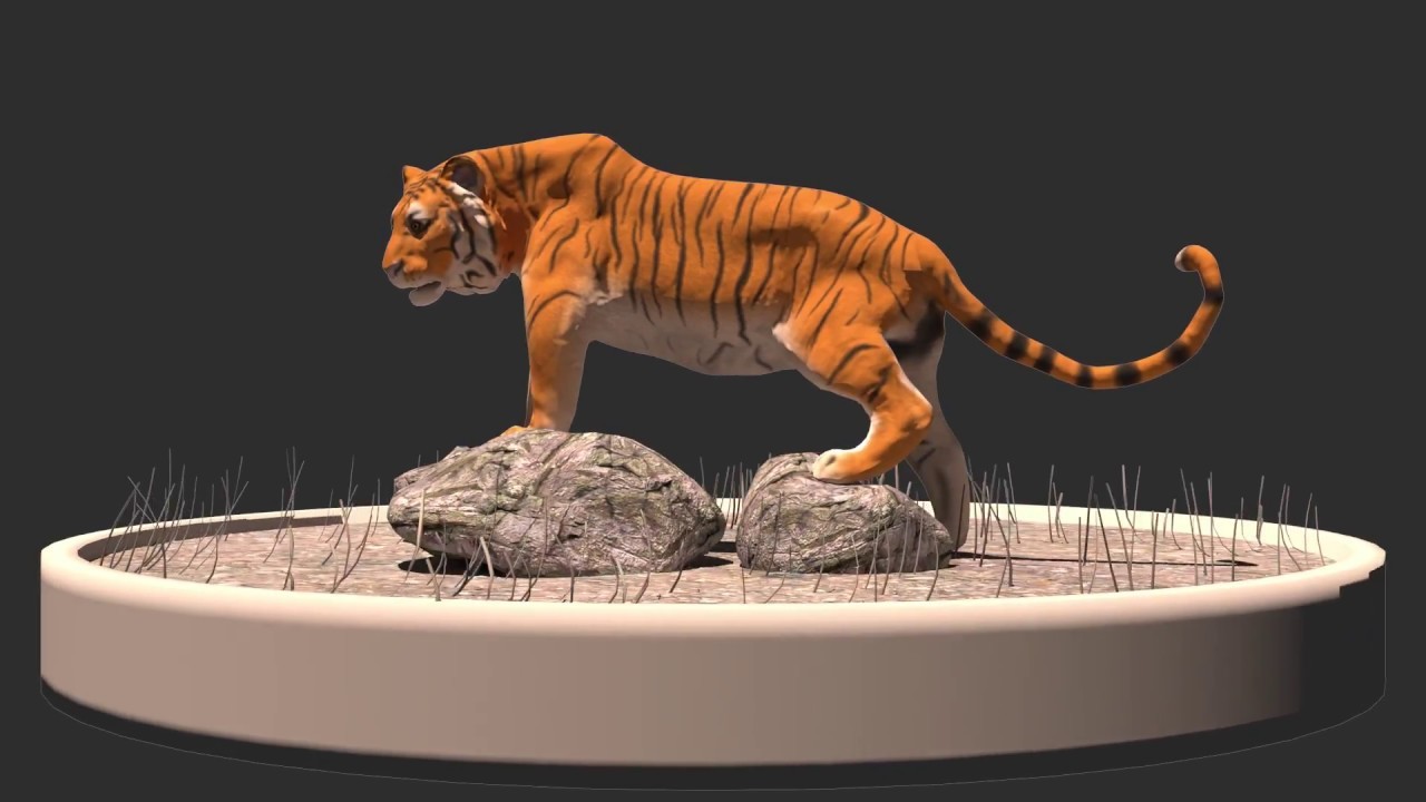 Ezel Wie Knorrig ArtStation - 3D Tiger Model
