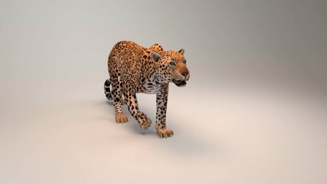 ArtStation - Leopard Walk Cycle Animation