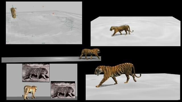 ArtStation - Tiger walk cycle test