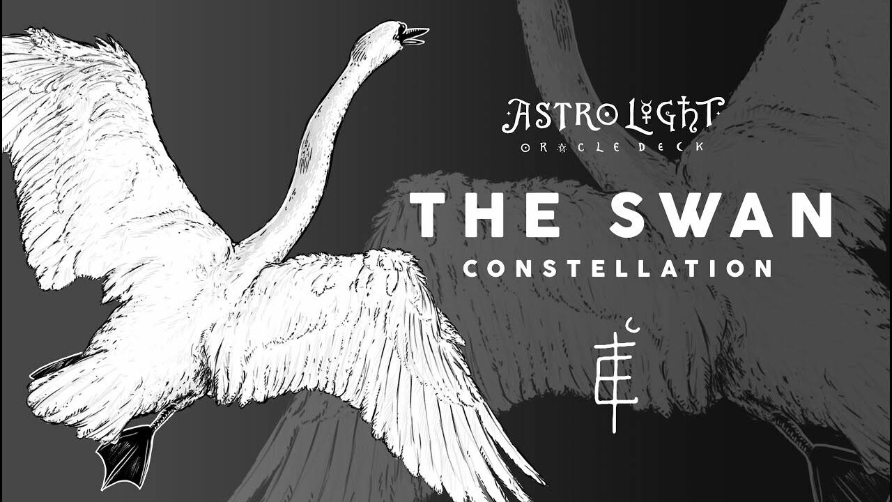 The Swan Constellation ❂ Illustration Timelapse ❂ Astro Light Oracle
